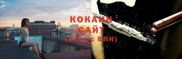крисы Баксан